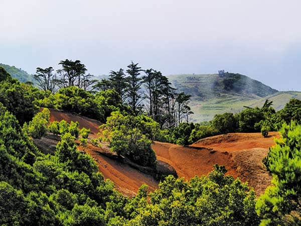 Malownicze krajobrazy najmniejszej z Wysp Kanaryjskich – El Hierro. El Hierro 05