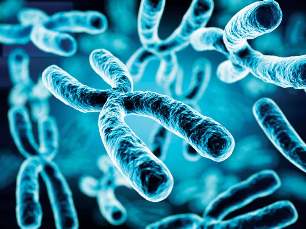 Badania genetyczne - ludzkie chromosomy skrywają wiele tajemnic. Badania genetyczne - chromosomy