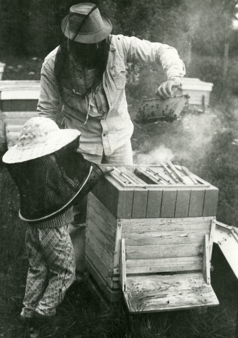 Zdzisaw i Bartosz Nikonczuk BeeBreath 1978